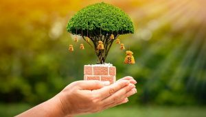 Creating an emergency budget that works for you