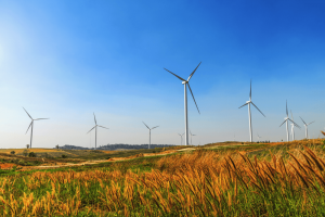 What alternative assets bring to your super investment mix